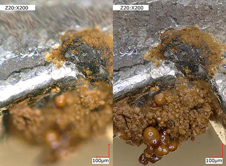 汽车组件的腐蚀部分左：正常/右：深度组成（200x）