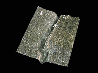 3D形状的霉菌裂纹显示（200倍）